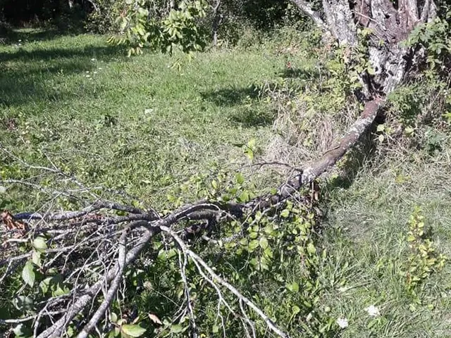 Eladó telek Tiszasüly 800 nm