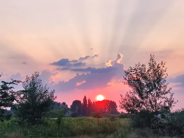 Eladó telek Nagykáta 16598 nm