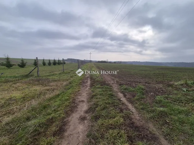 Eladó telek Gomba 4528 nm