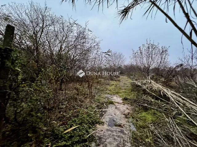 Eladó telek Ecser 1000 nm