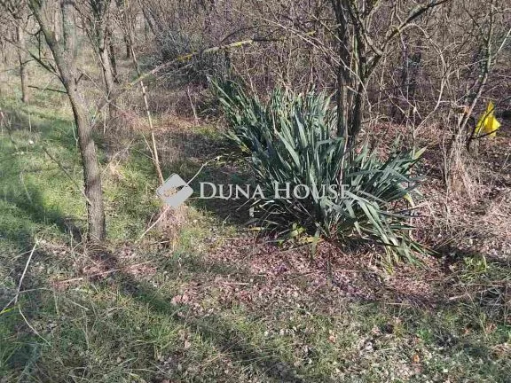 Eladó telek Tápióbicske 1259 nm