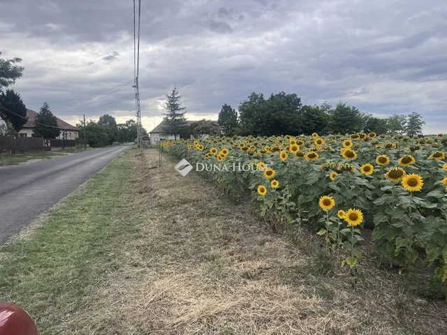 Eladó telek Tápiógyörgye 4585 nm