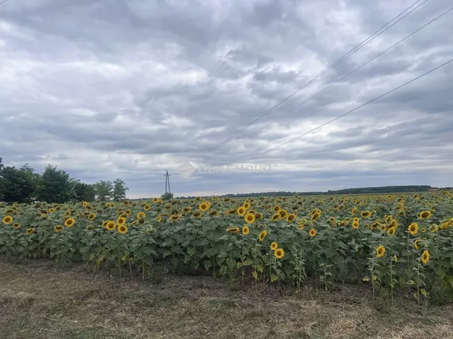 Eladó telek Tápiógyörgye 4585 nm