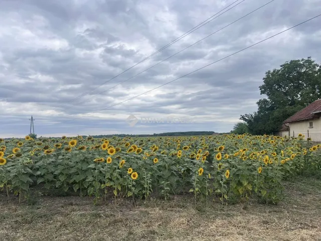 Eladó telek Tápiógyörgye, Nincs utca 4585 nm