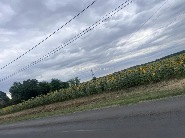 Eladó telek Tápiógyörgye, Nincs utca 4585 nm