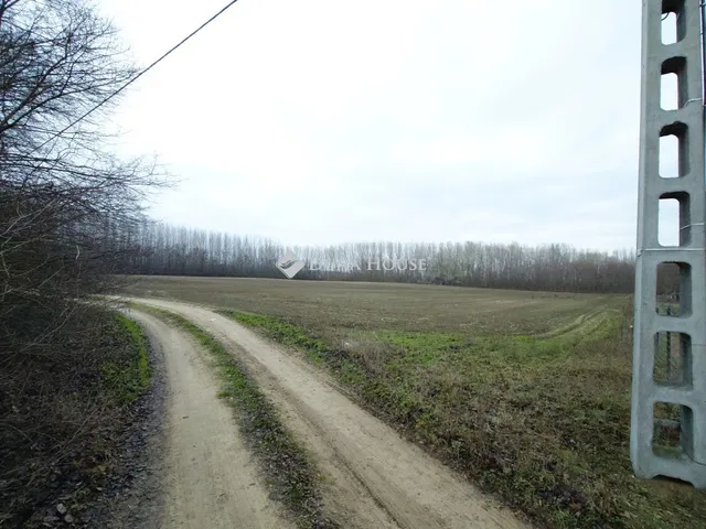 Eladó telek Pilis 8069 nm