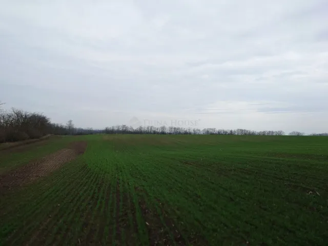 Eladó telek Bénye 53533 nm