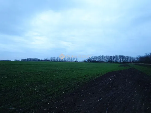 Eladó telek Bénye 53533 nm