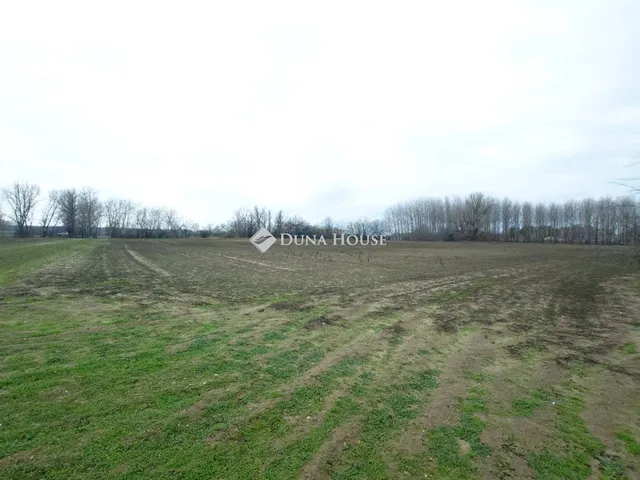 Eladó telek Pilis 6623 nm
