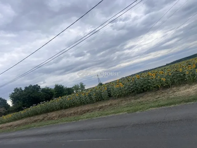 Eladó telek Tápiógyörgye 4585 nm