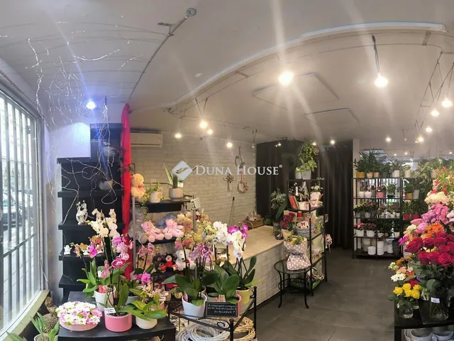 Kiadó kereskedelmi és ipari ingatlan Budapest V. kerület, Báthory utca 50 nm