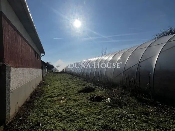 Eladó telek Jászfényszaru 2000 nm