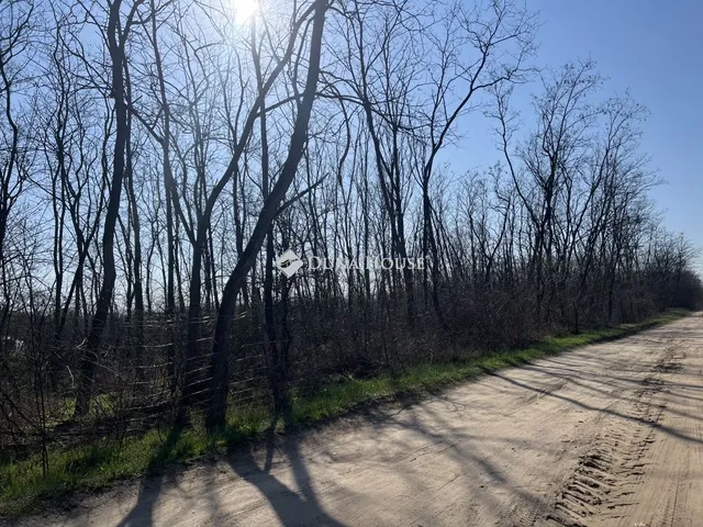 Eladó telek Dánszentmiklós 6448 nm