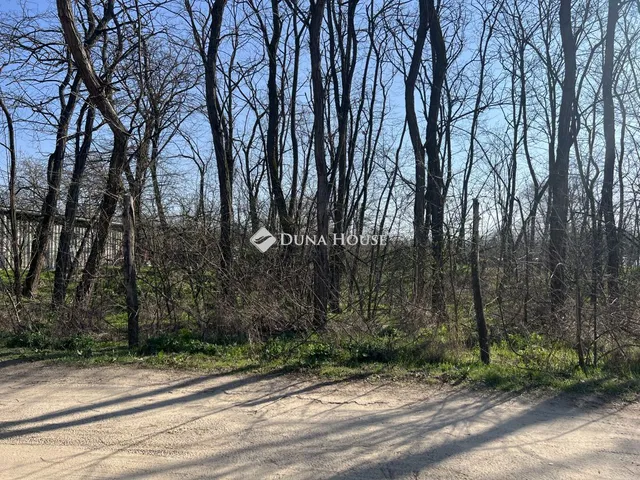 Eladó telek Dánszentmiklós 6448 nm