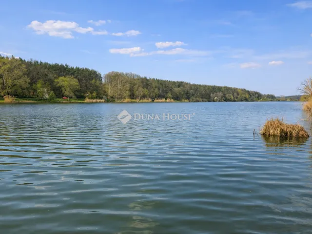 Eladó üdülő és hétvégi ház Gomba, Harcsa utca 50 nm