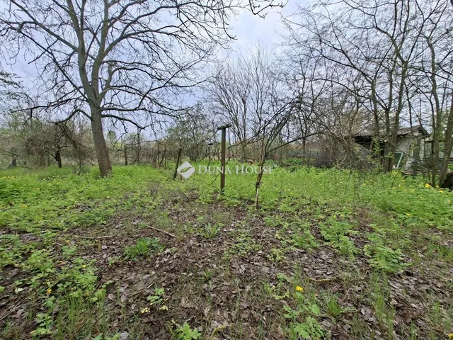 Eladó telek Tóalmás 1606 nm