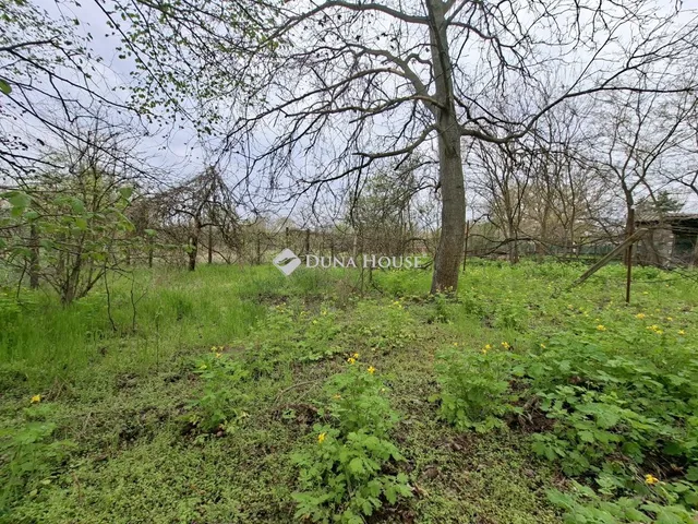 Eladó telek Tóalmás 1606 nm