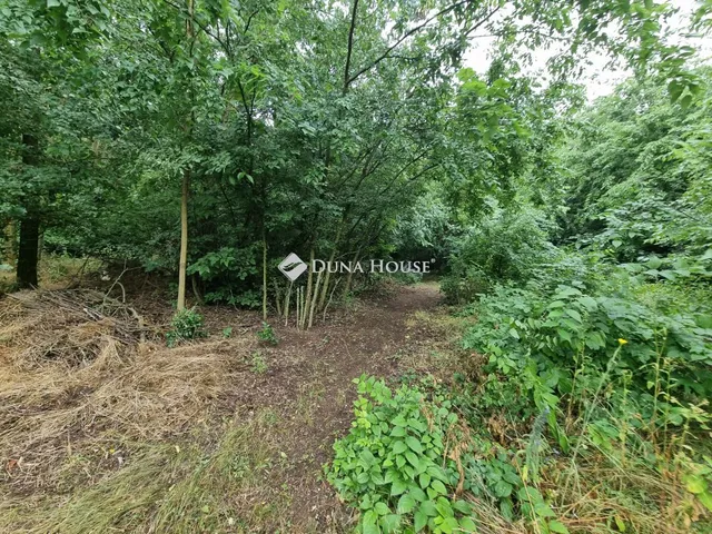 Eladó telek Tóalmás 709 nm