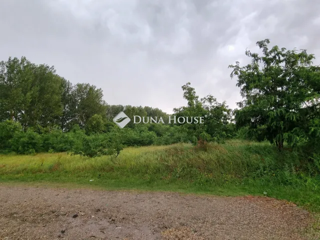 Eladó telek Tápiószele, Asztalos Sándor utca 3532 nm