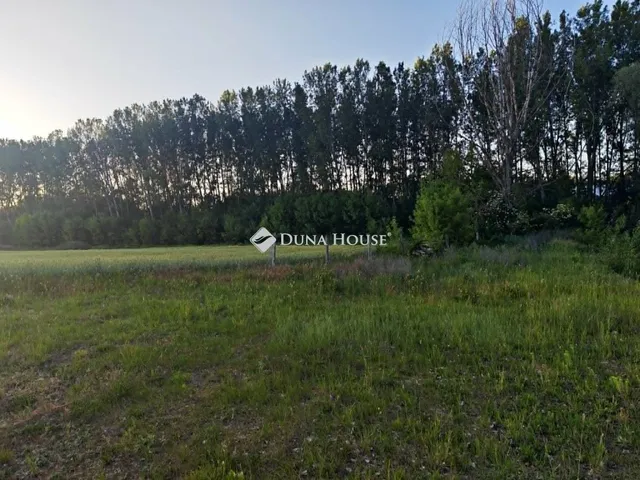 Eladó mezőgazdasági ingatlan Sülysáp 39478 nm
