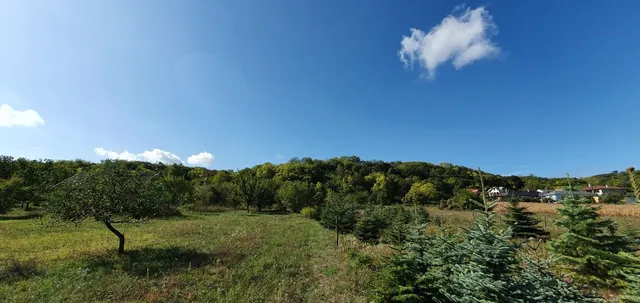 Eladó telek Győrújbarát 3371 nm