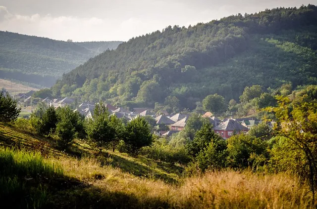 Eladó mezőgazdasági ingatlan Bekölce, Nincs utca 1580 nm