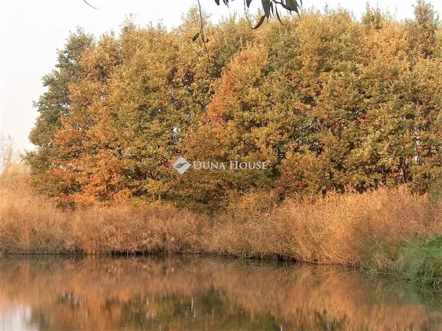 Eladó telek Gyula 8169 nm