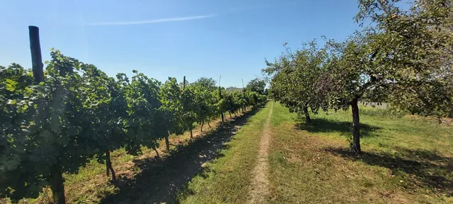 Eladó telek Balatonboglár 2520 nm