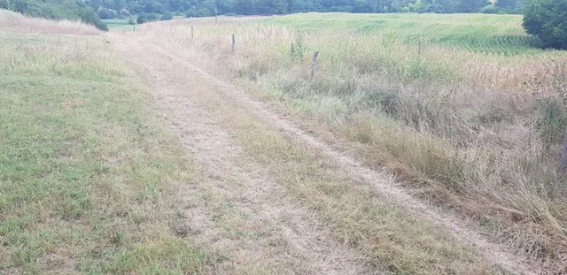 Eladó mezőgazdasági ingatlan Kisbárapáti 1655 nm