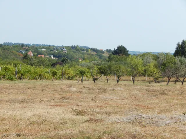 Eladó telek Balatonkenese 2492 nm