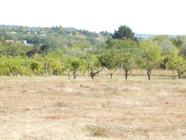 Eladó telek Balatonkenese 2492 nm