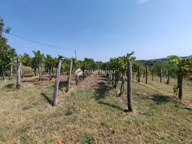 Eladó telek Mezőkomárom 1399 nm