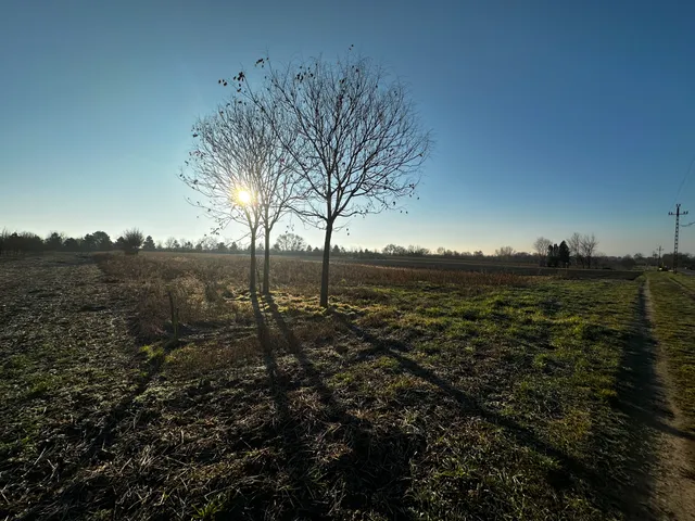 Eladó telek Balatonvilágos 1779 nm