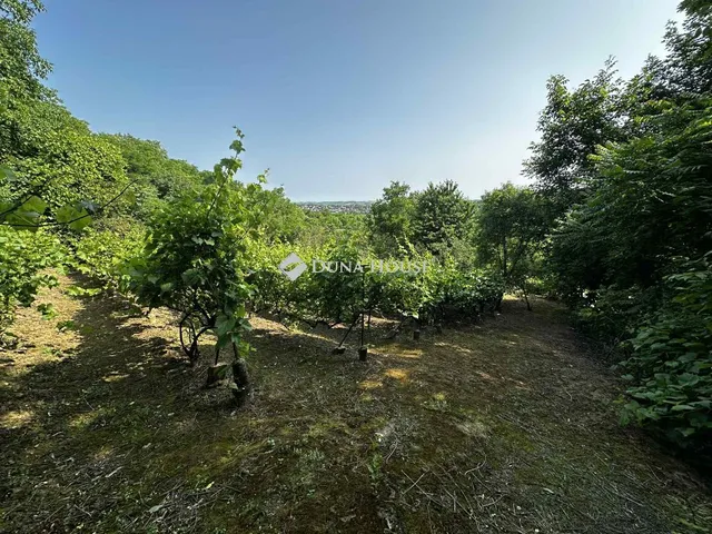 Eladó üdülő és hétvégi ház Tamási 100 nm
