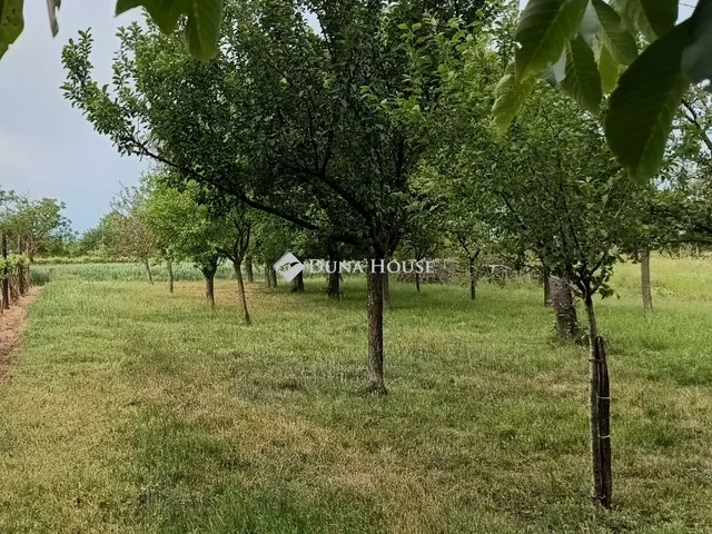 Eladó telek Lepsény 1079 nm