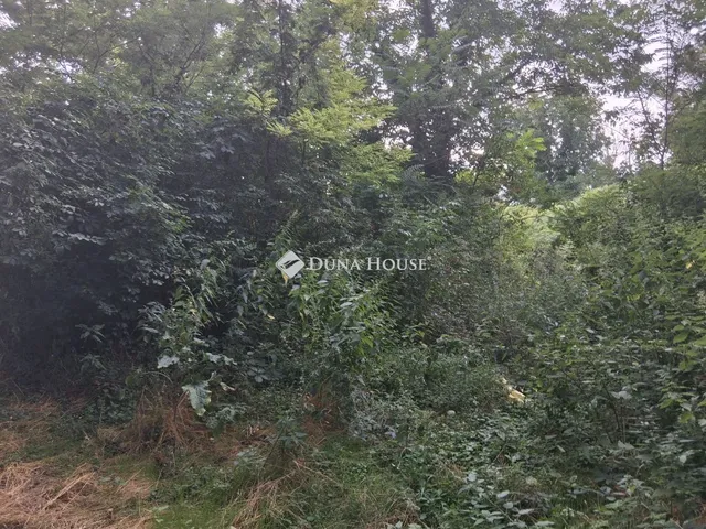 Eladó telek Bábonymegyer 5966 nm