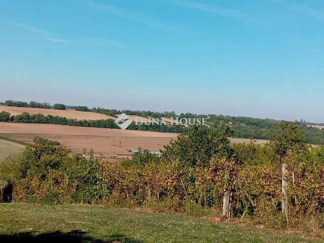 Eladó mezőgazdasági ingatlan Miklósi 40 nm