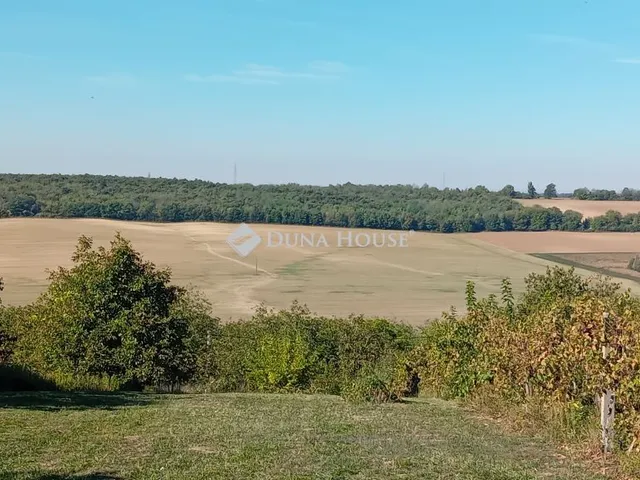 Eladó mezőgazdasági ingatlan Miklósi 40 nm