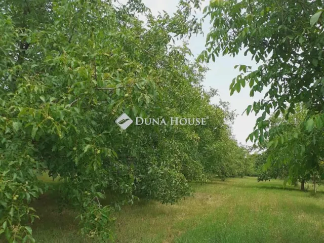 Eladó telek Ádánd 8052 nm