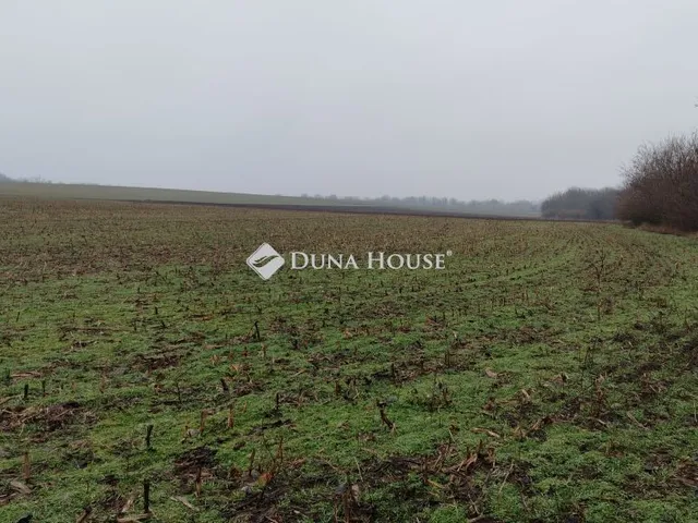 Eladó telek Siófok 1140 nm