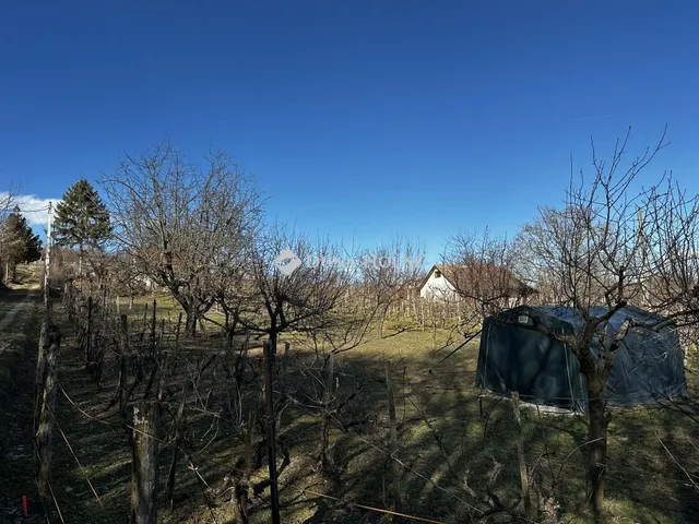 Eladó mezőgazdasági ingatlan Ságvár 64 nm