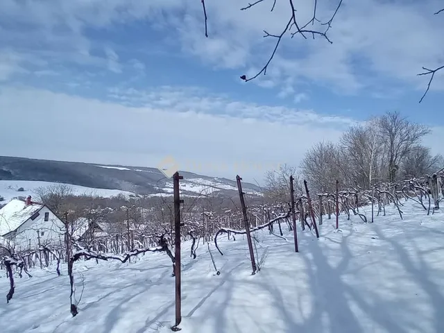 Eladó telek Kereki 839 nm