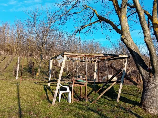 Eladó telek Kereki 839 nm