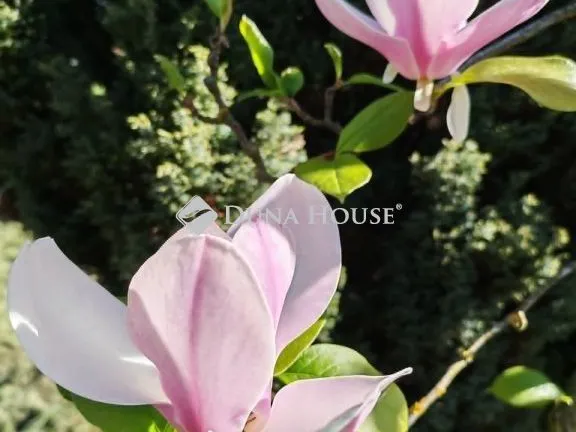 Eladó ház Újireg 72 nm