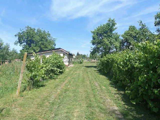 Eladó ház Mezőkomárom 113 nm