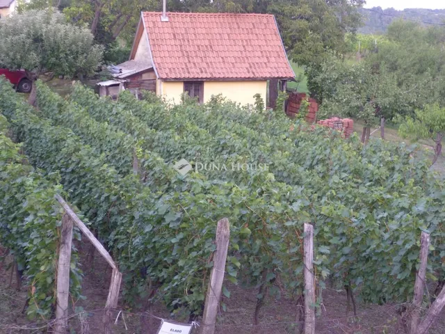 Eladó mezőgazdasági ingatlan Tamási 120 nm