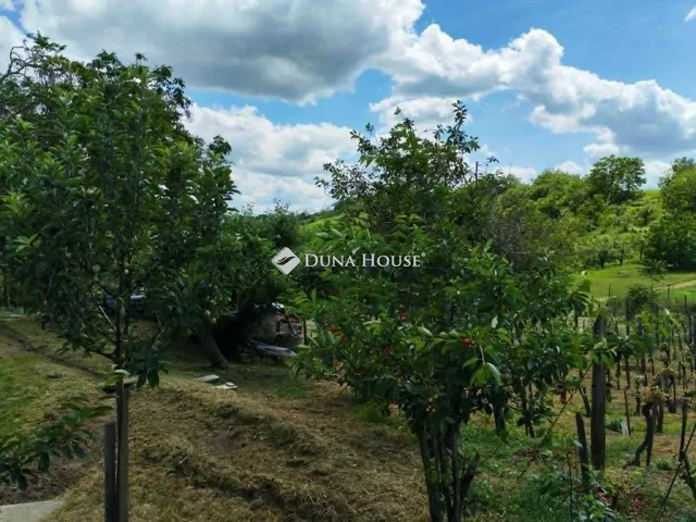 Eladó mezőgazdasági ingatlan Tamási 120 nm
