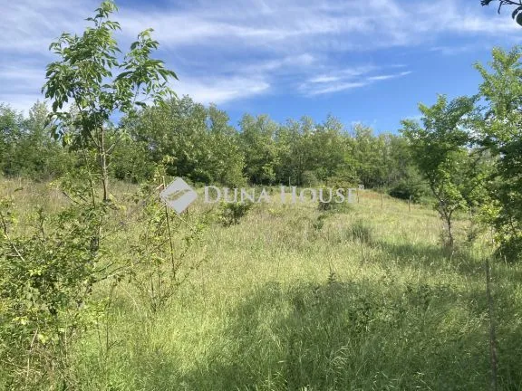 Eladó telek Balatonendréd 6002 nm
