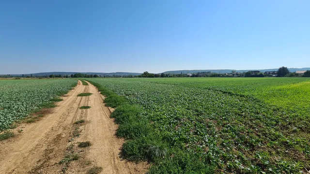 Eladó telek Sopron, Varsa utca 5874 nm