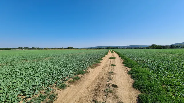 Eladó telek Sopron, Varsa utca 5896 nm